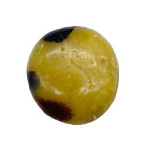 Septarian Palm Stone