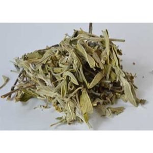 Sage Leaf Cut (Salvia officinalis) 1 Lb